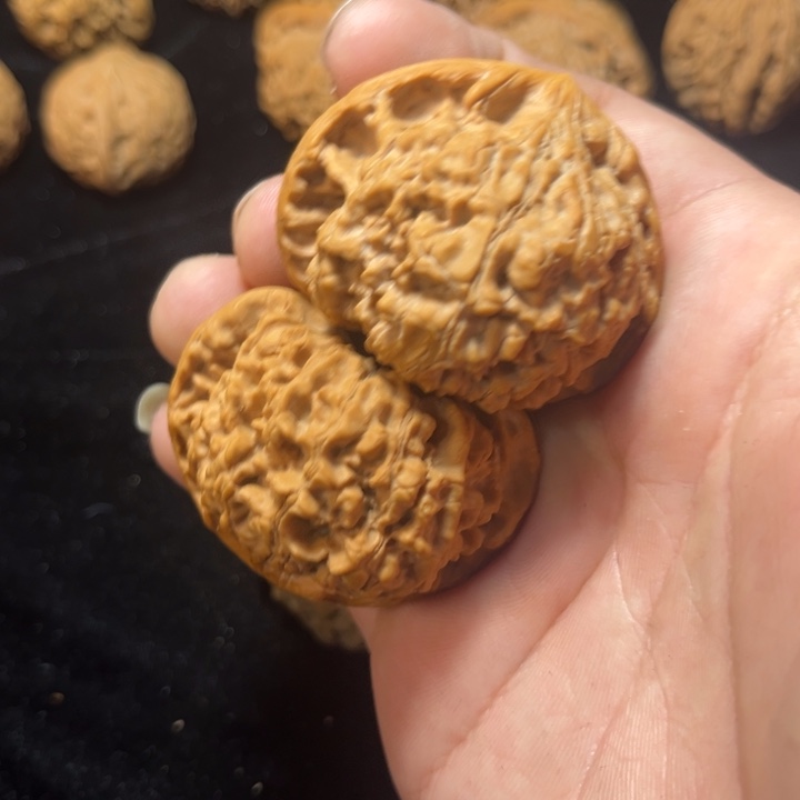 文玩核桃官帽47尺