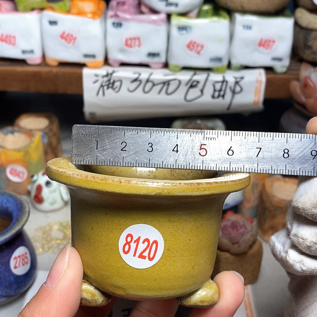 红陶拍5送一个小