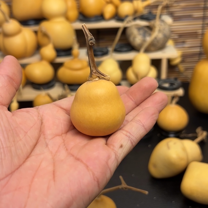 人****^12694265125859999