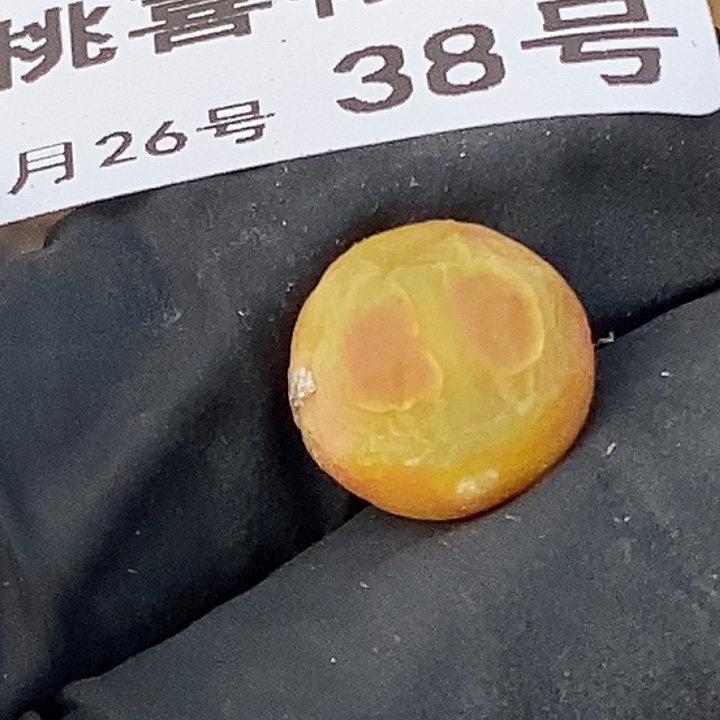 桃喜花园0226-38拉登福利