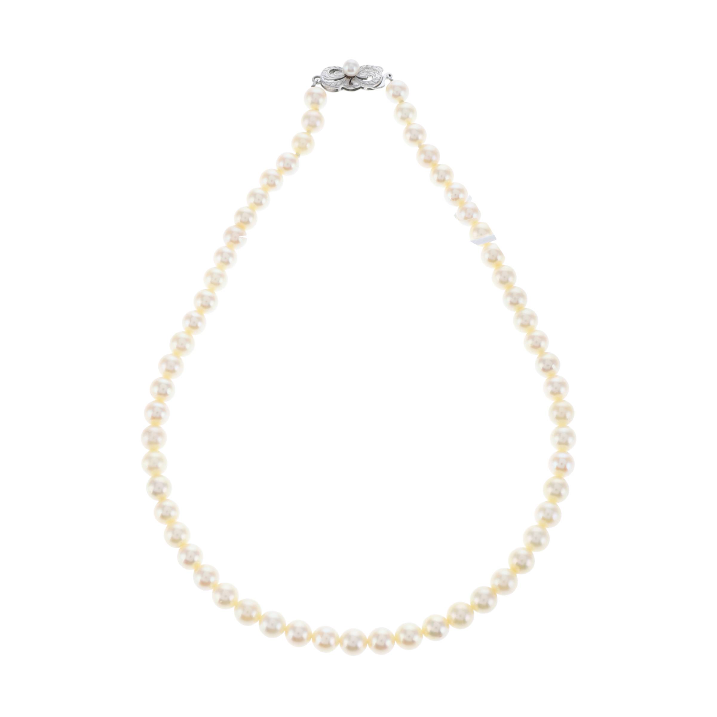 红布林/C1开箱/御木本/29074653/z/122054