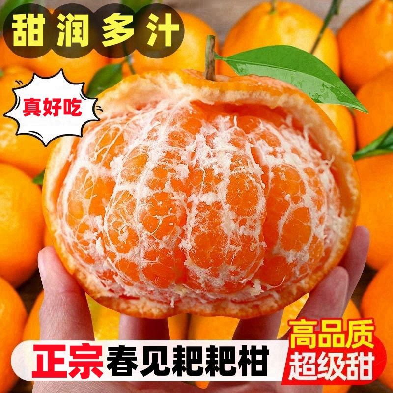 四川春见耙耙柑正宗新鲜彩箱包邮 应季丑橘耙耙柑甜润多汁AS