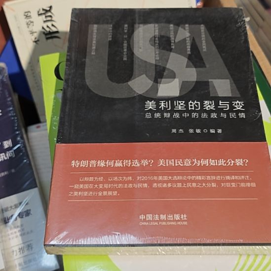 美利坚的裂变平装库存书