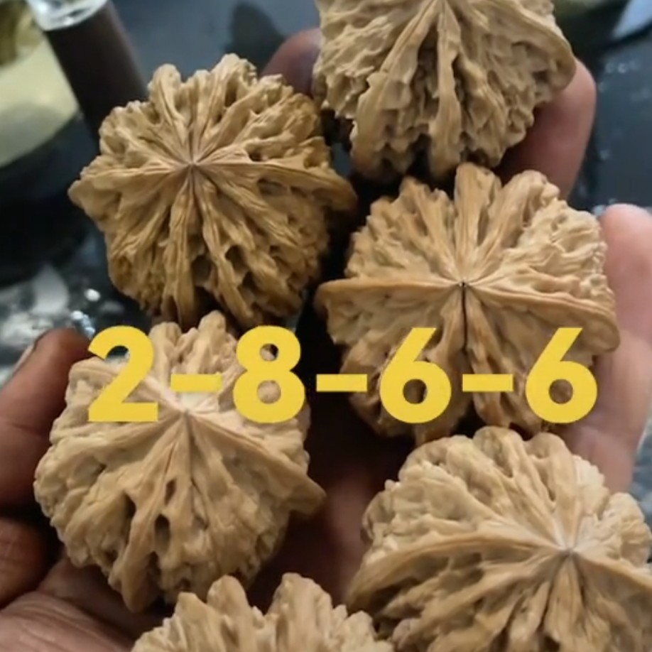 文玩核桃专拍链接（直播展示为准）