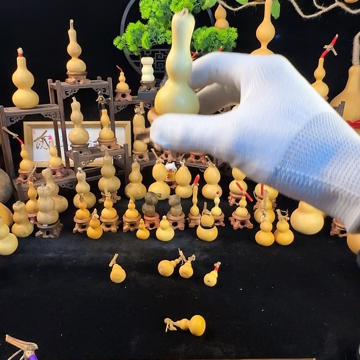 葫芦感谢大哥支持