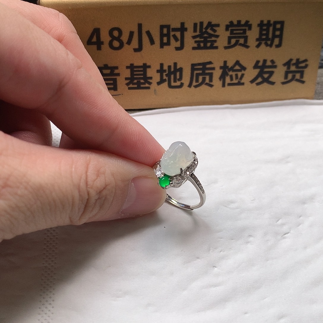 颈饰银S925镶嵌翡翠貔貅