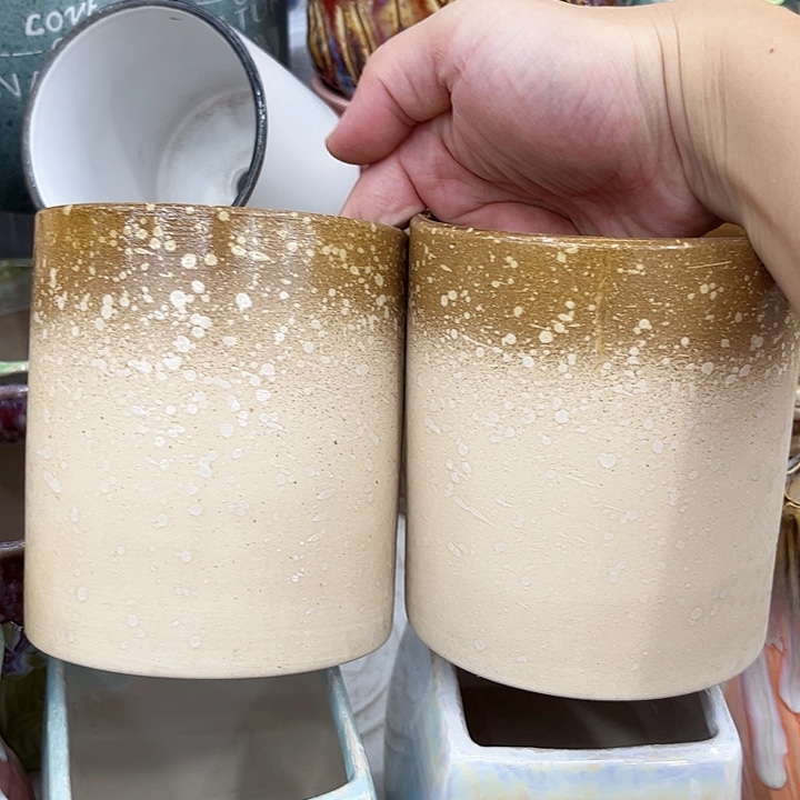 多肉植物陶瓷花瓶