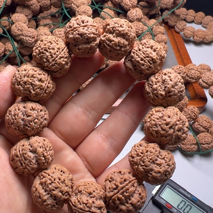 金刚菩提吊坠23粗筋双龙