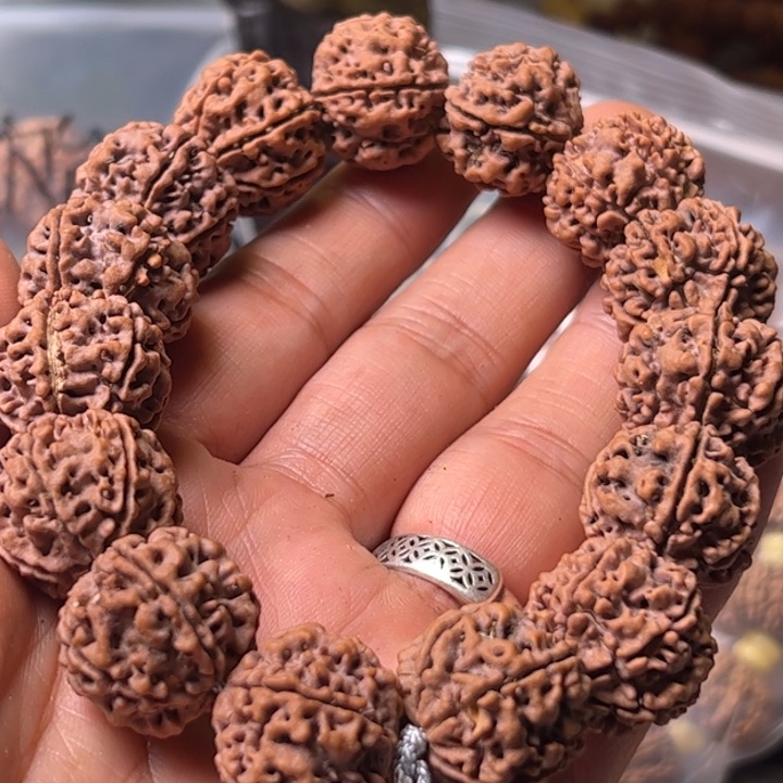 金刚菩提手串6辦安娜红油