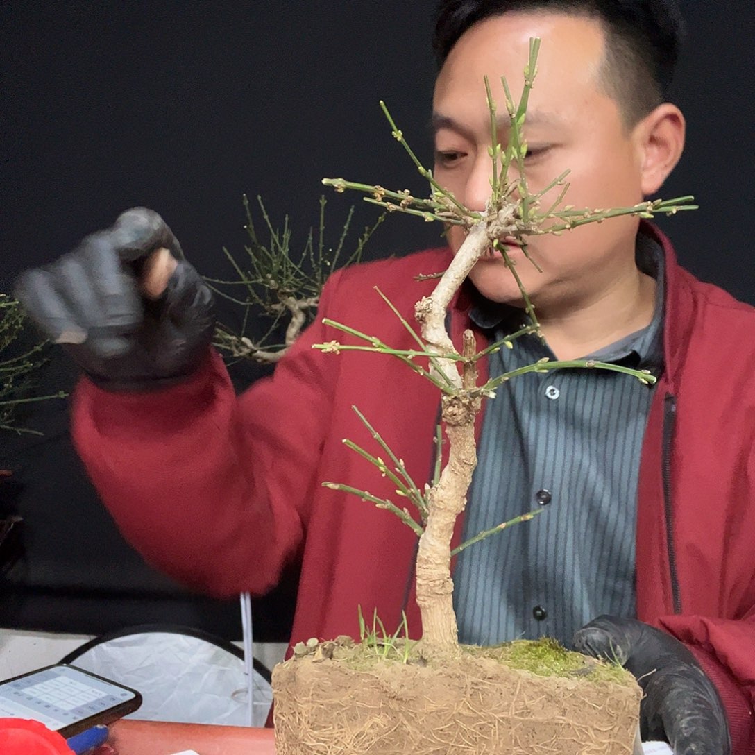 天***勤无花朵谢谢你的关心和支持