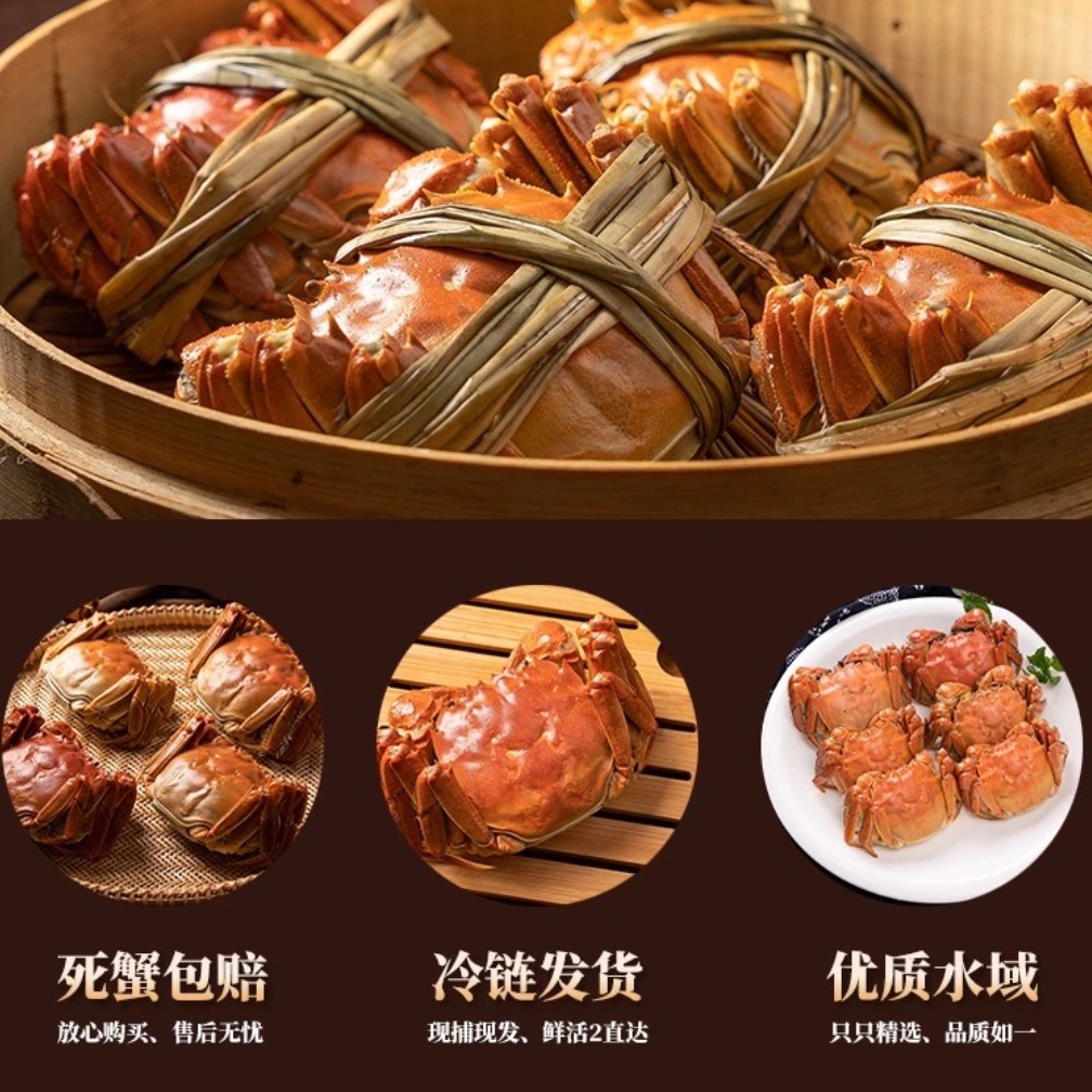 【活蟹】大闸蟹3两母蟹8只