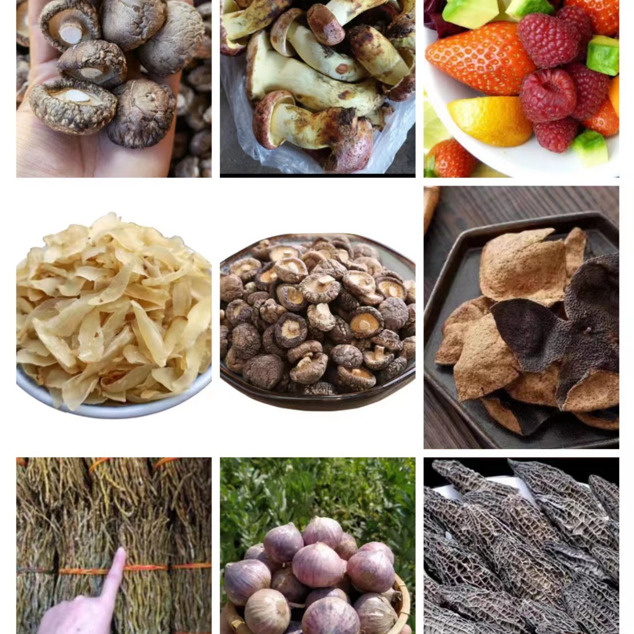 云南高山土特产临时链接图片