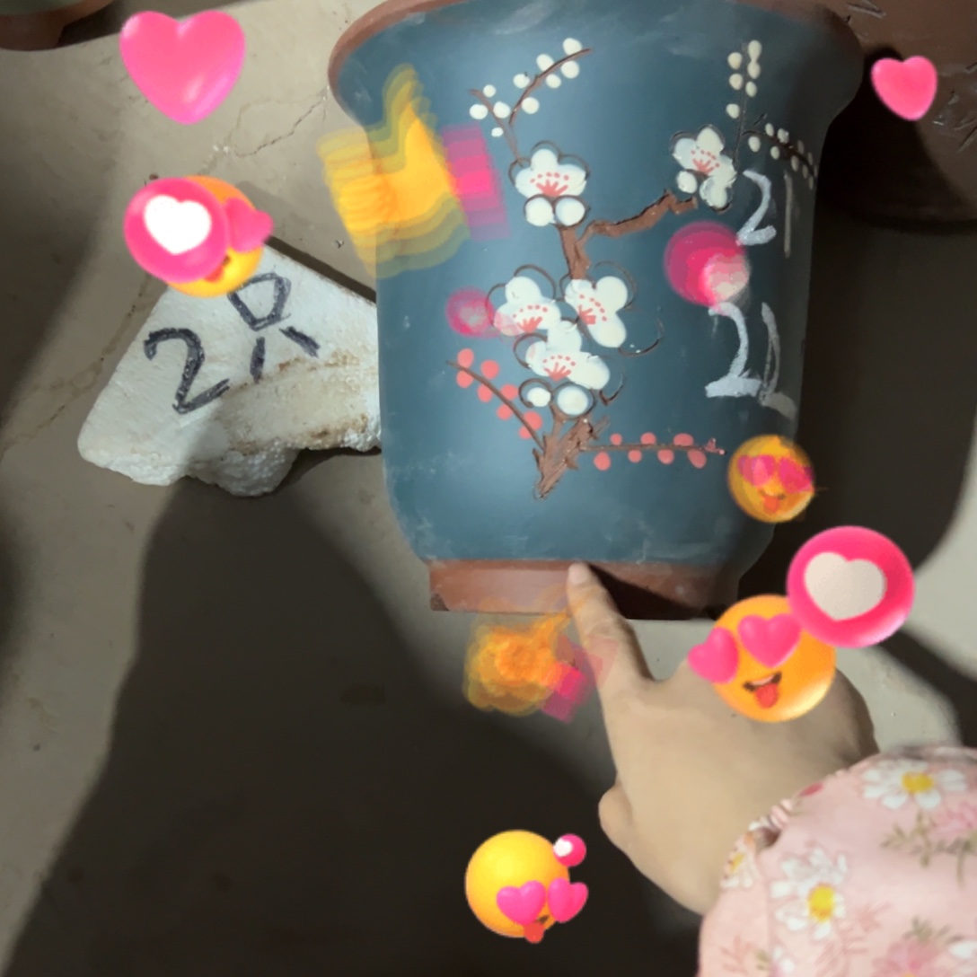 宜兴川阁紫砂花盆