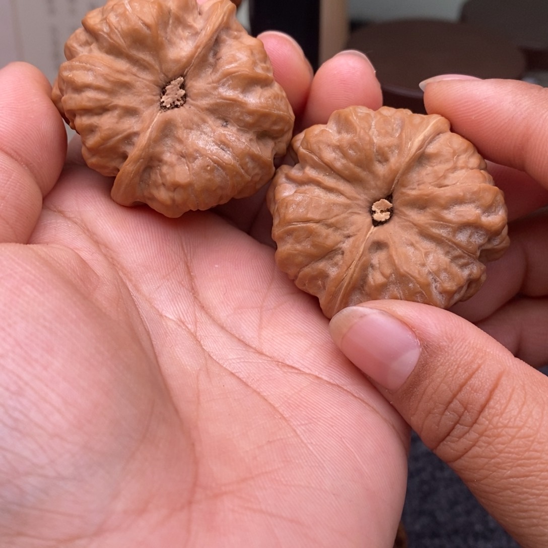 文玩核桃把件39蛤蟆头165