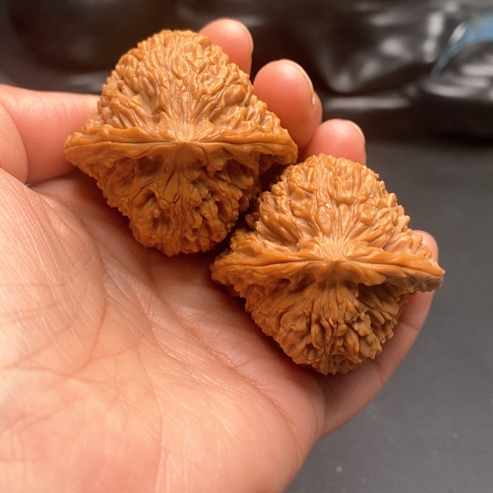 把件文玩核桃拉丝蚂蚁43尺