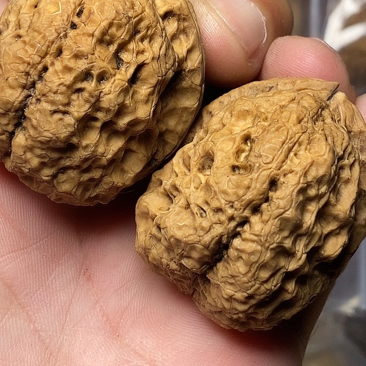 文玩核桃把件云南铁核桃55