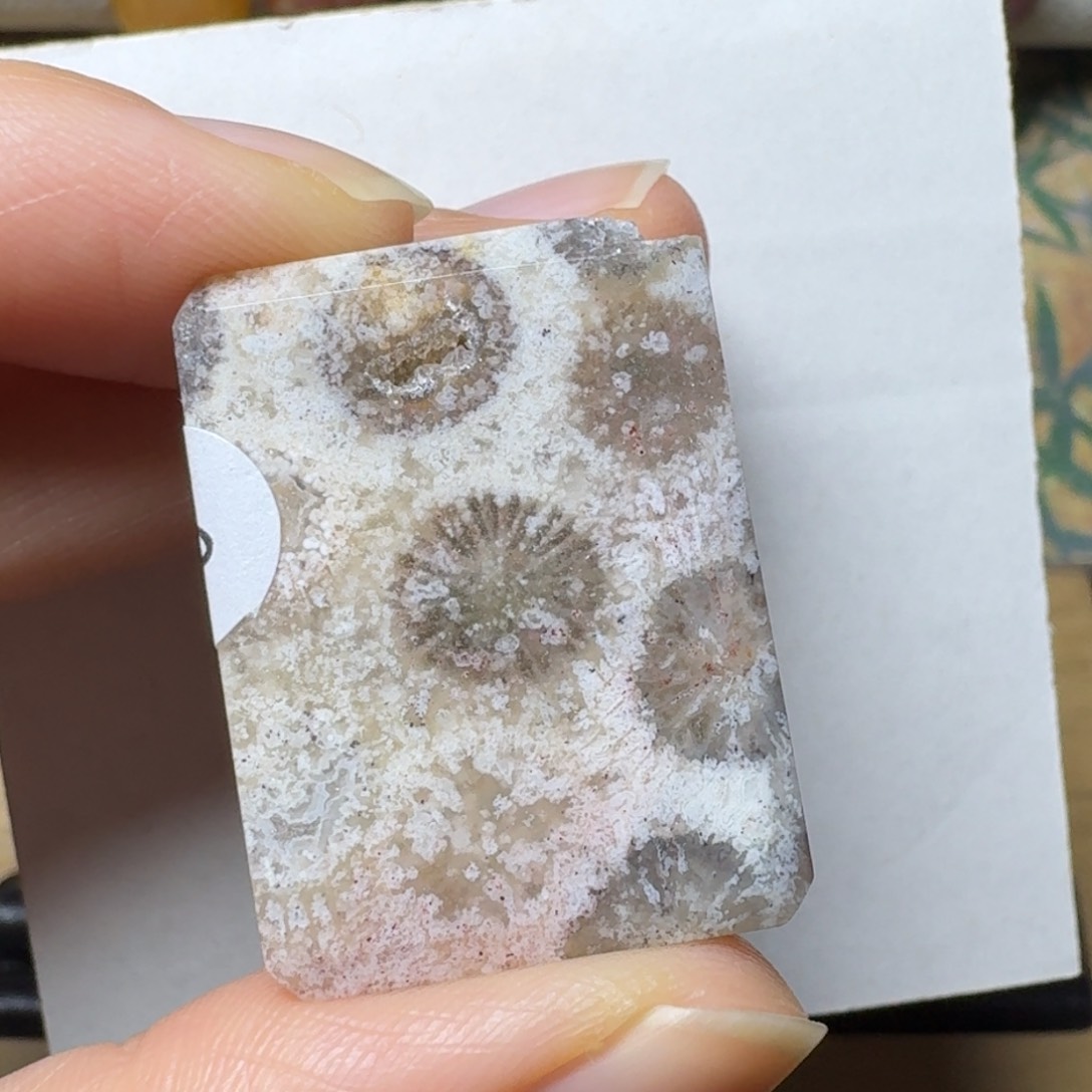 硅化玉有点晶缺未镶嵌