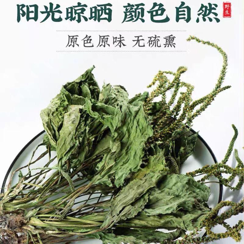 车前菜车轱辘菜车辙菜车前草车前子干品