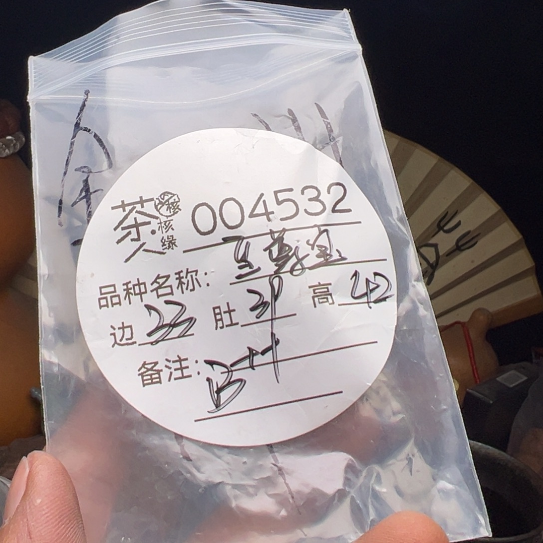 文玩核桃吊坠今天
