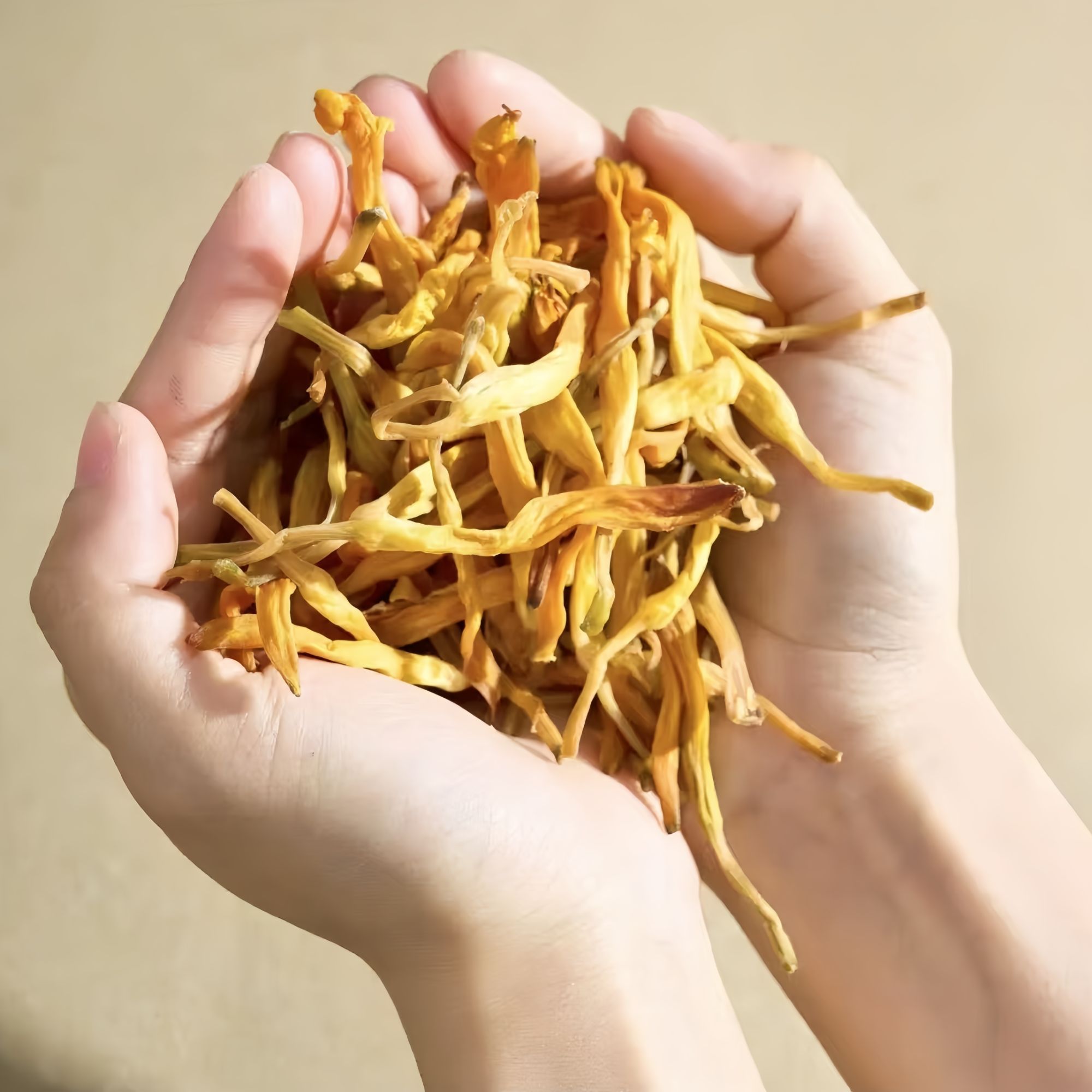 干货农家无硫金针黄花菜拍一发4煲汤炒菜特产一包净重发货