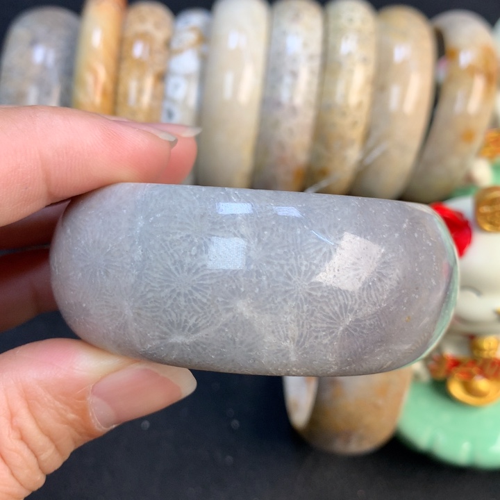 【闪购商品】硅化珊瑚（珊瑚玉）颈饰未镶嵌55