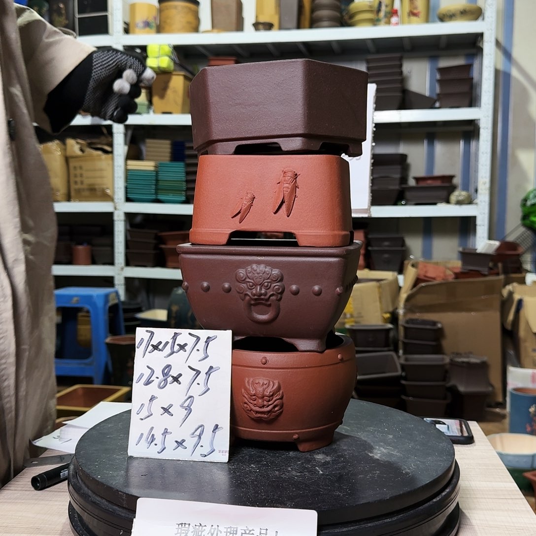 紫砂花盆哈哈这是我的新