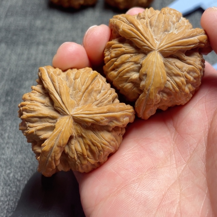 工艺三棱白狮子三棱