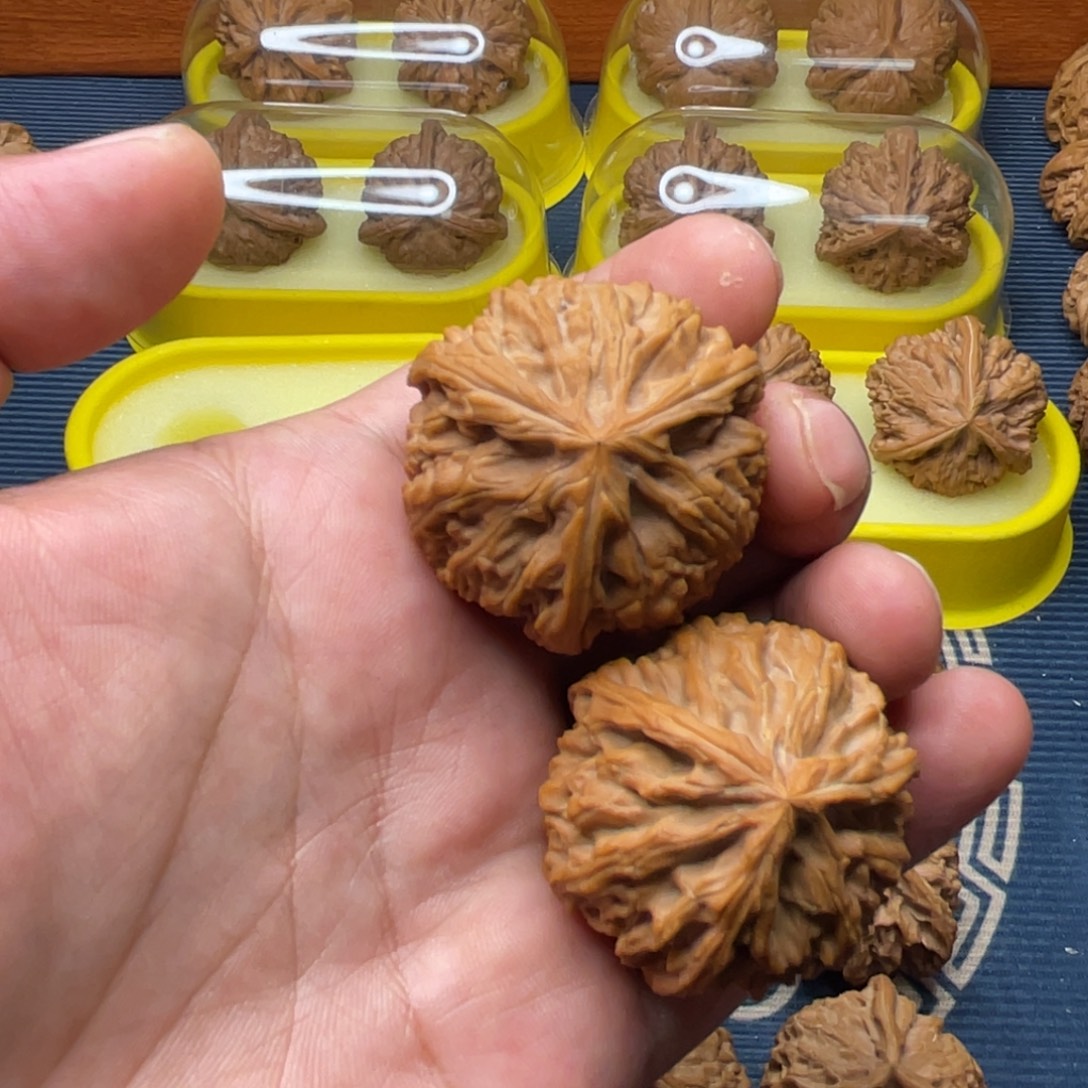 ****作手串/手链核桃玉龙粗筋