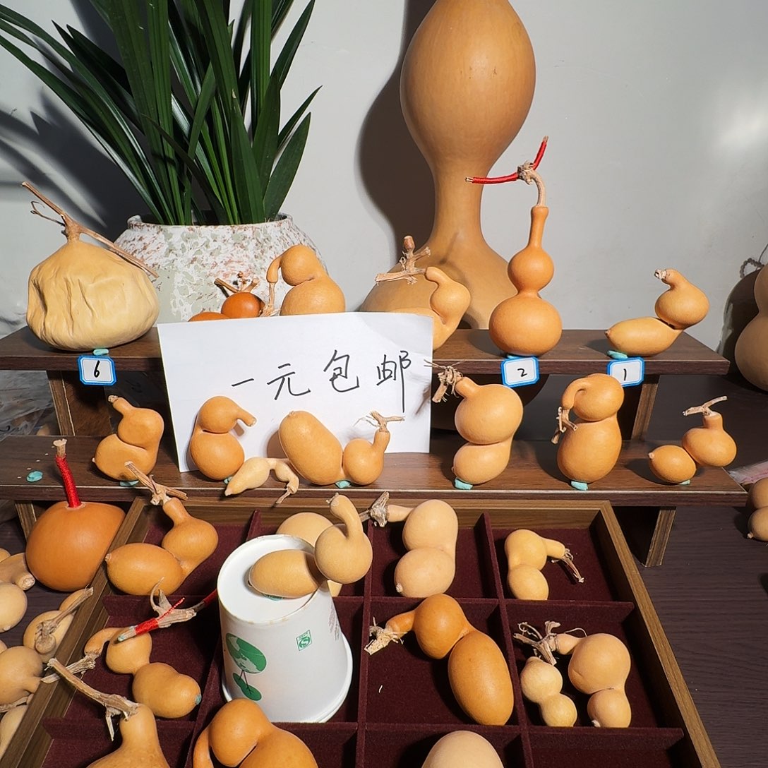 平***狂酷酷小猫小狐狸大酷酷