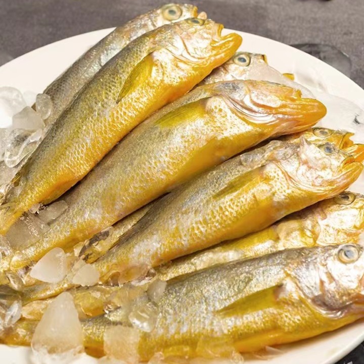 2肆生鲜海捕小黄鱼每斤11条左右净重4斤青岛发货