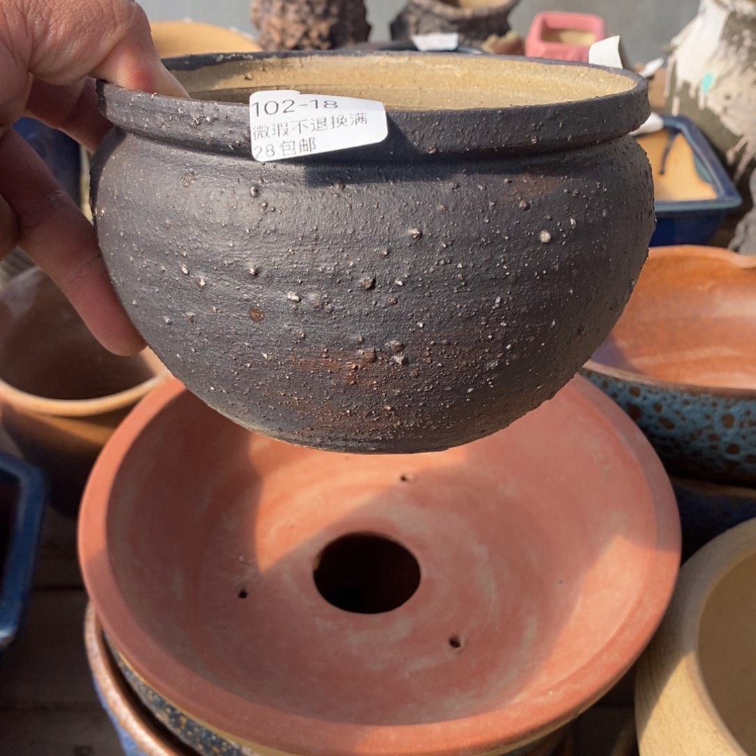 18号花盆内14.5高1