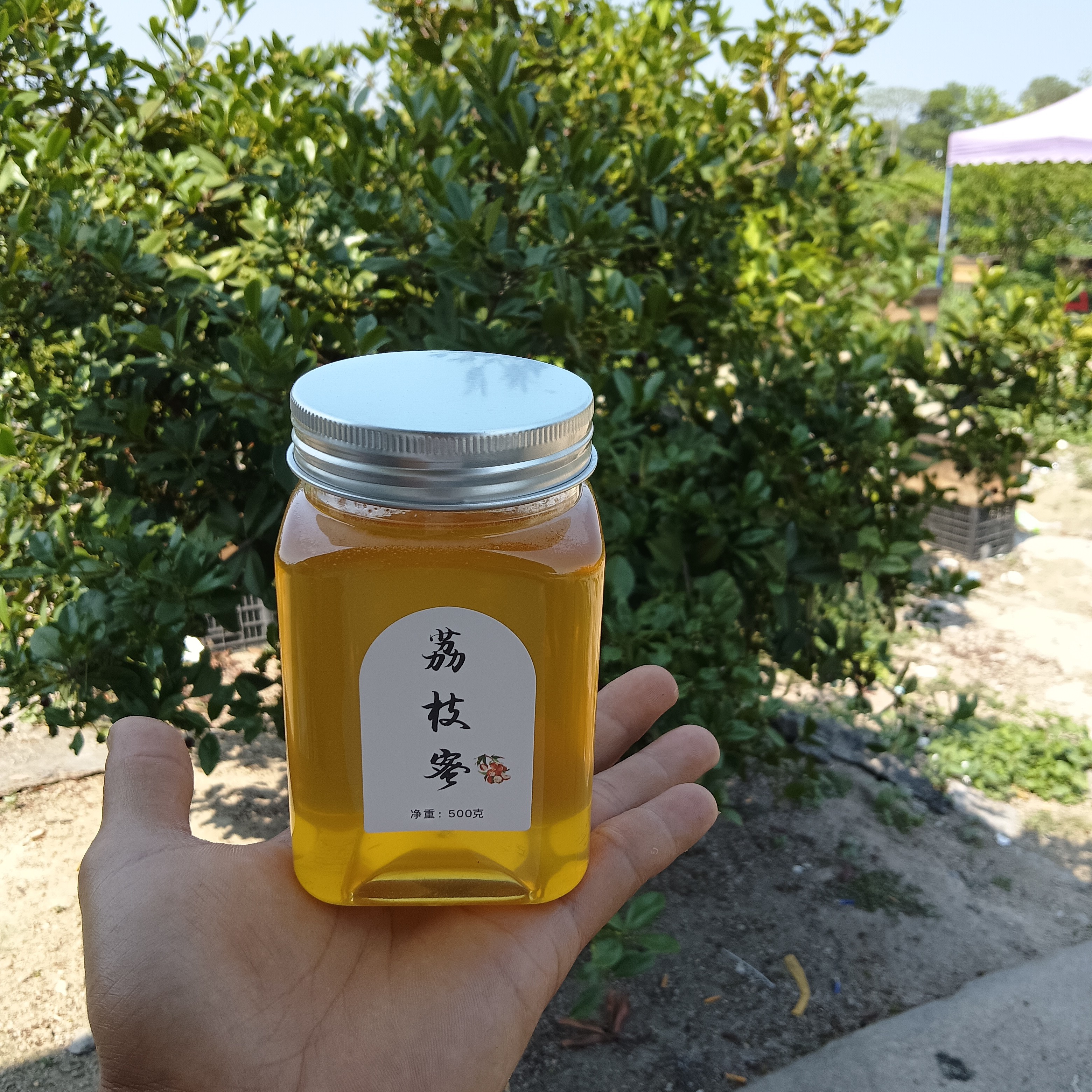 广东波灶园荔枝蜜