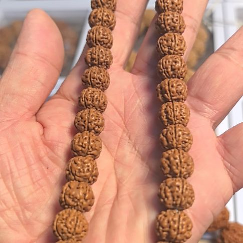 金刚菩提把件老树王小金刚手持，12左右尺寸，下水去黄