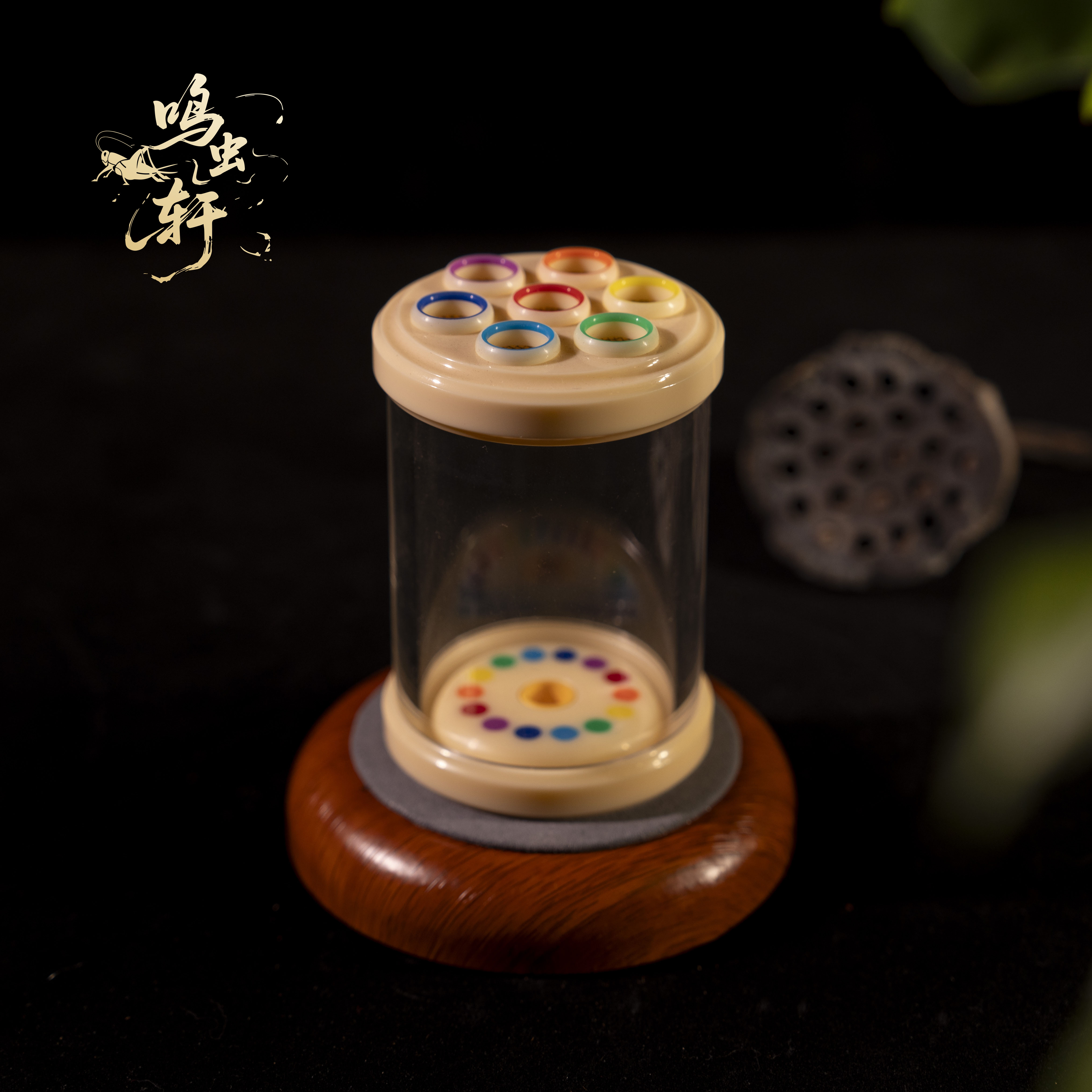 小田蝈蝈叫罐彩虹冰淇淋蝈蝈罐60口径蝈蝈叫罐老密胺食缸蝈蝈罐