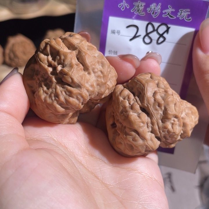 你***吗288号 哇啊啊啊 42222