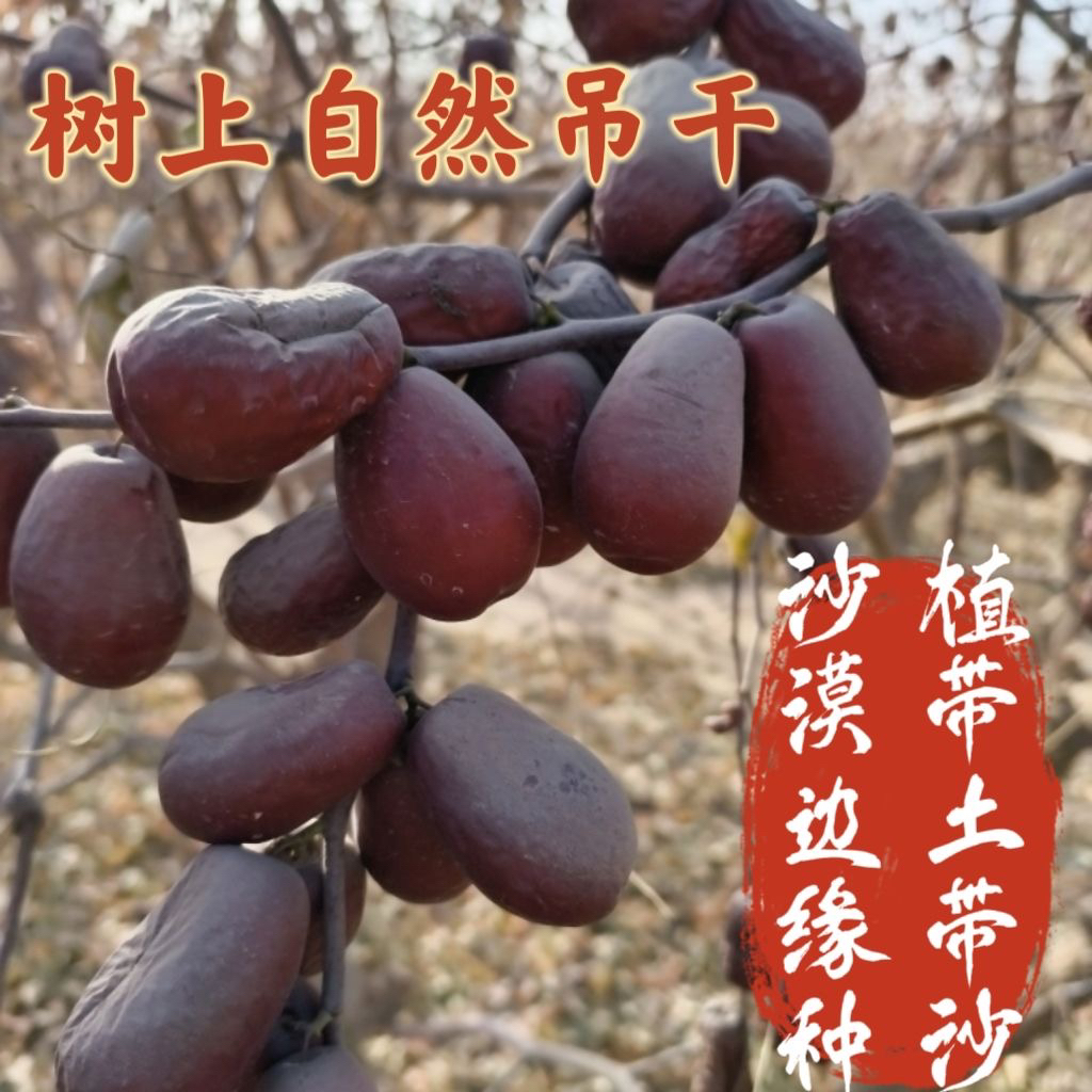 1.2级混搭新疆和田原生态大枣吊干枣