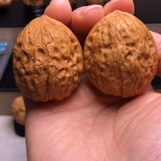 文玩核桃把件九五玄铁38