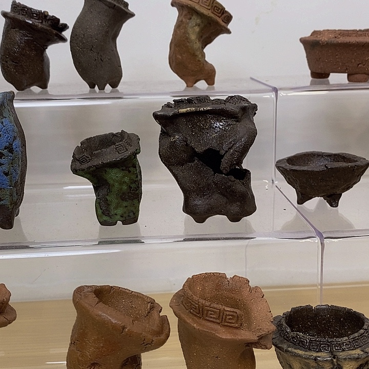 汇***缘无花朵4788888提供普及率