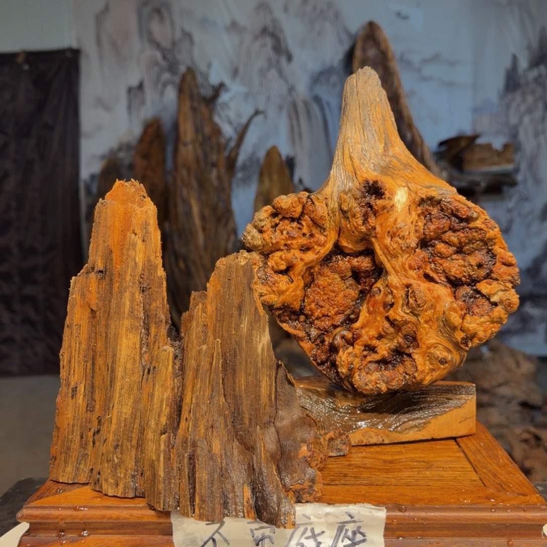 重***来木三丰琥珀木 天然摆件26