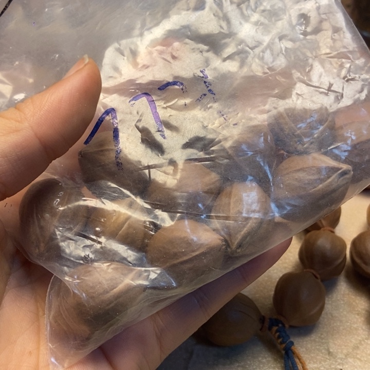 苦***僧橄榄核手串/手链2229梅林铁核