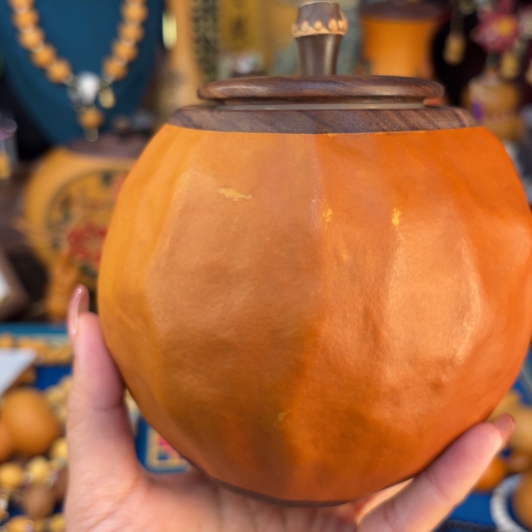 我们的生活也是如此的丰富多彩