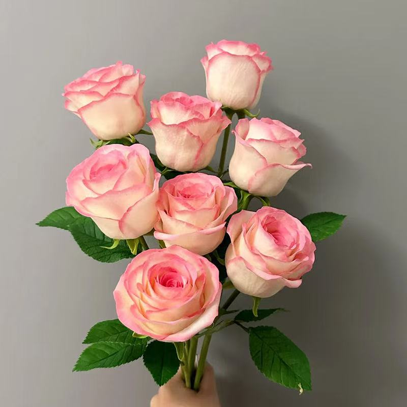 云南玫瑰女神艾莎鲜花玫瑰花花束基地直发插花批发水养