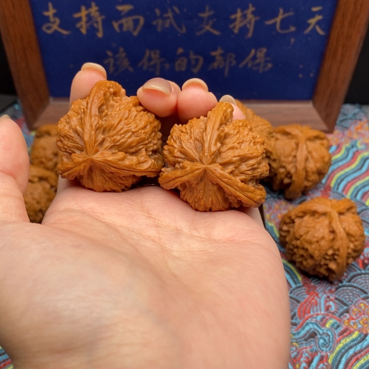 【闪购商品】?****白狮