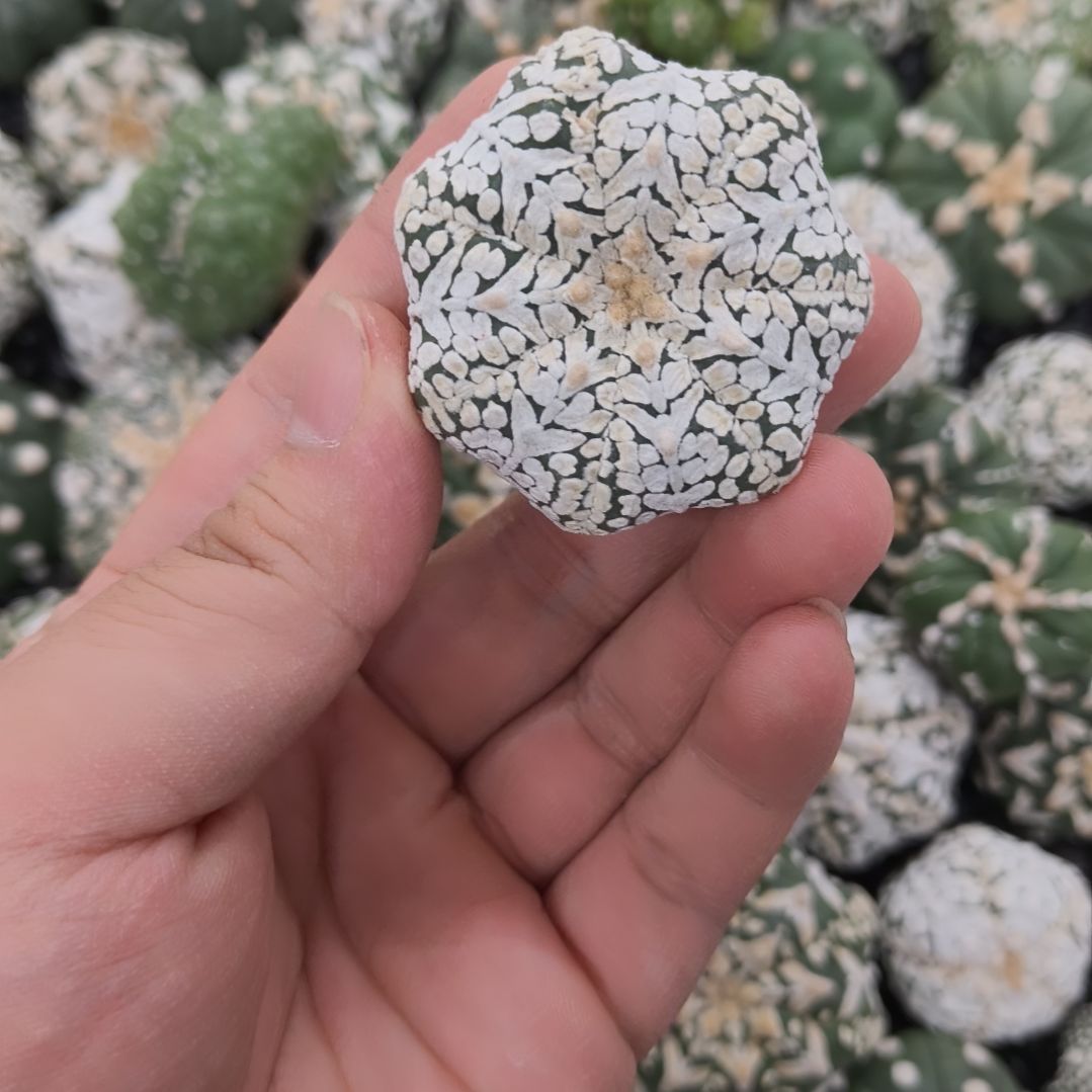 哈哈哈哈哈哈哈哈哈哈