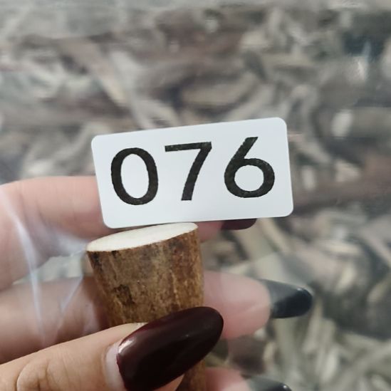 S***n鹿角鹿角鹿角鹿角鹿角鹿角