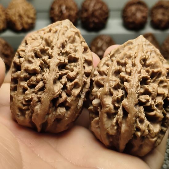 吊坠文玩核桃大楸核桃1号