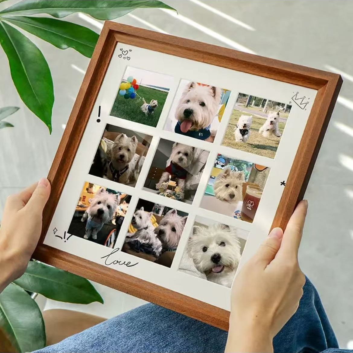 宠物相册相框dzc定制尺寸联系客服