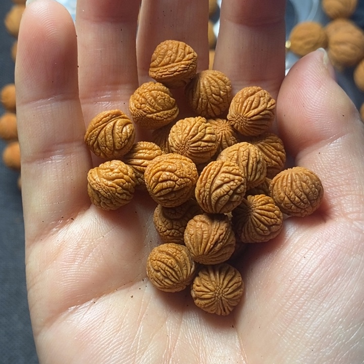 桃核吊坠秦岭山野生桃核