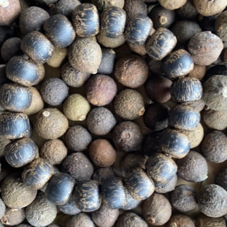 【阿雅专属生】1008菇 号23g