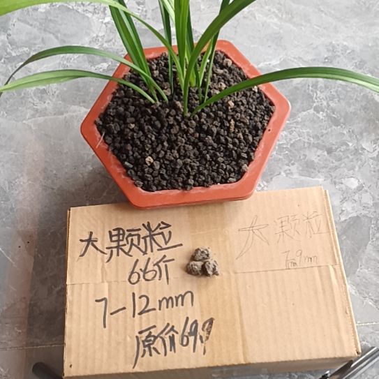 M***G兰菌黑山土大颗粒6.6斤